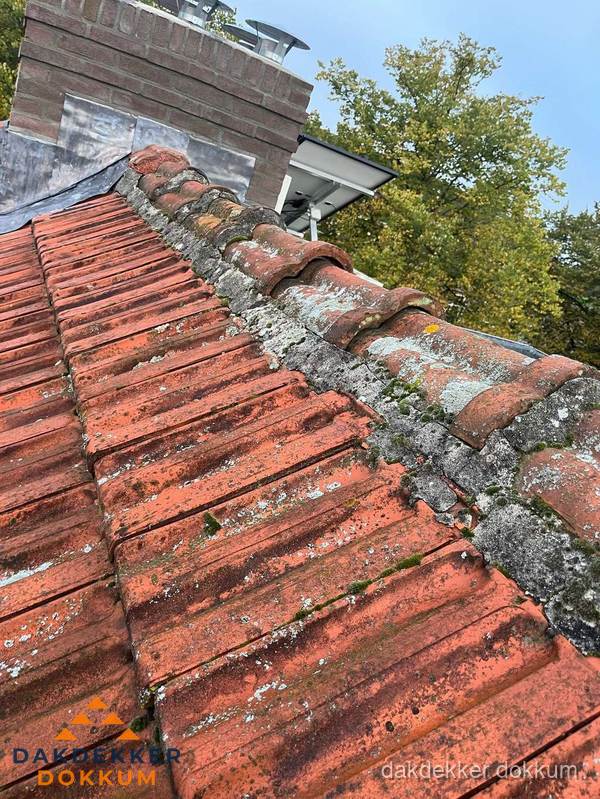 Verweerd hellend dak met mosgroei op nokvorst in Dokkum Verweerd hellend dak met mosgroei op nokvorst in Dokkum